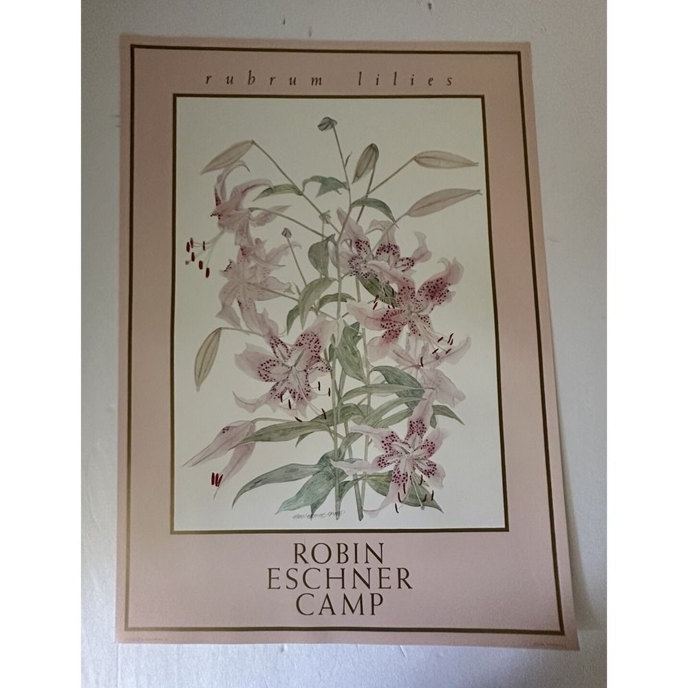 Vintage 1983 Poster Rubrum Lilies Robin Eschner‎ Camp 20x28 Litho